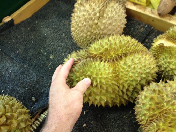 Fruit